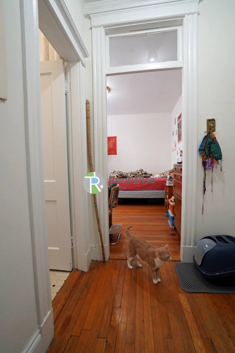 Apartment for rent at 14 Orkney Rd #32, Brighton, MA 02135