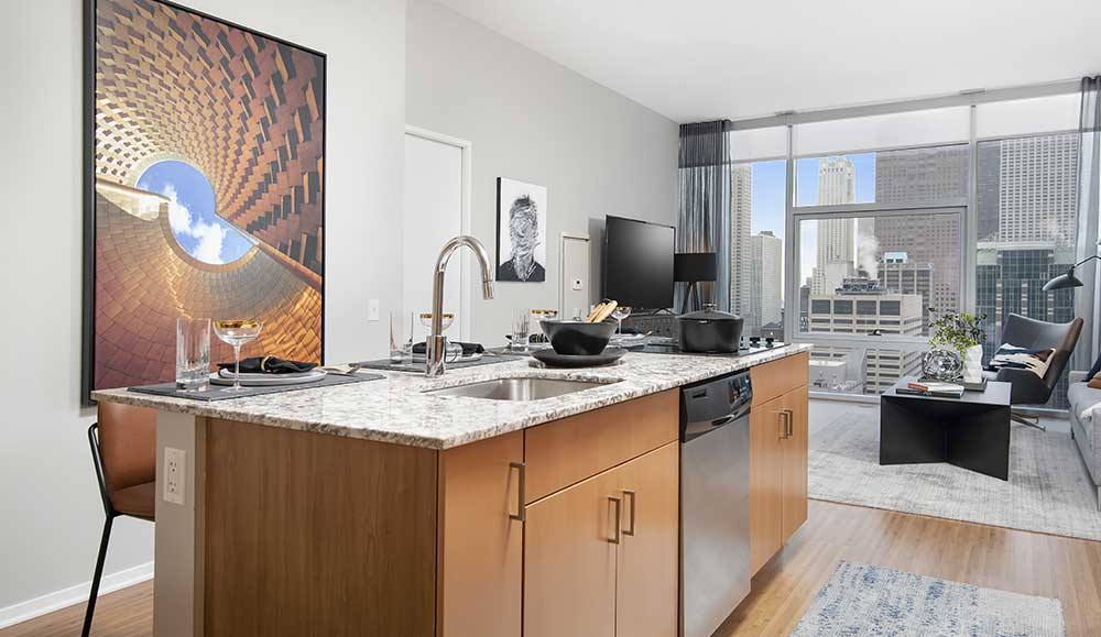 Apartment for rent at 206 E Illinois #2, Chicago, IL 60611