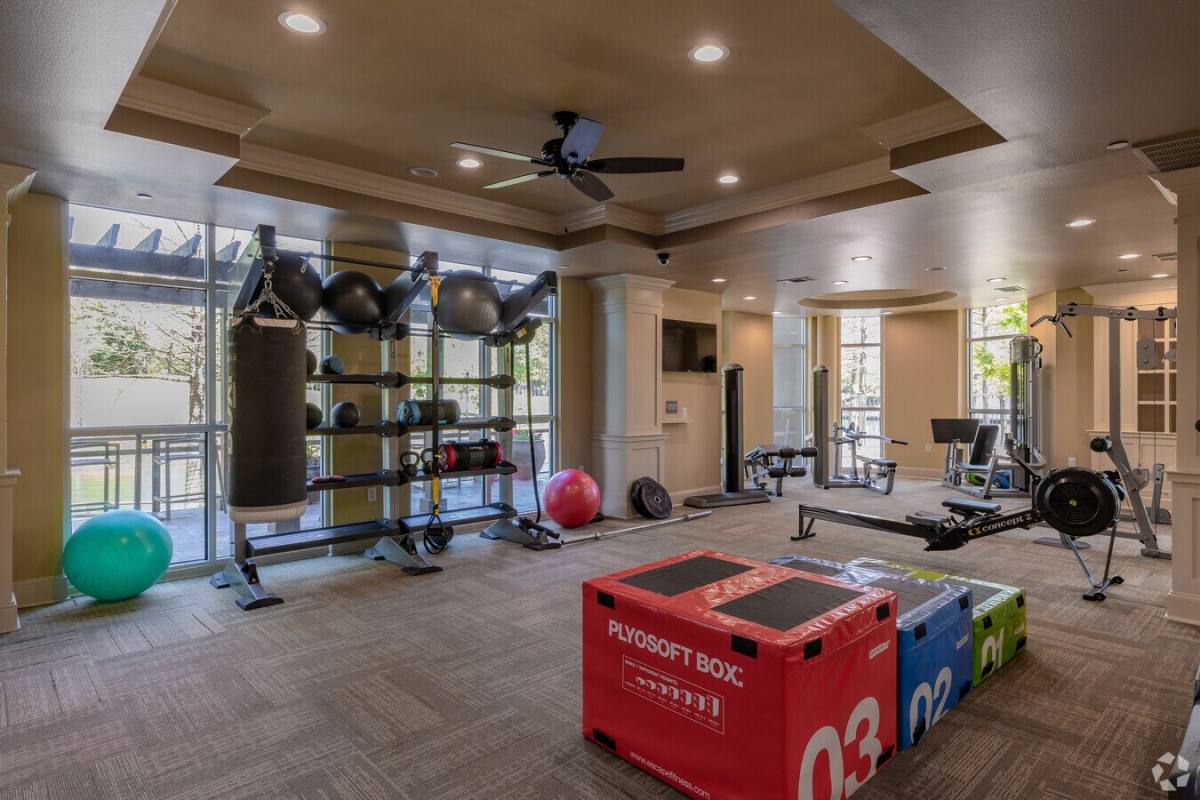 Apartment for rent at 2203 Riva Row #BTC1, Spring, TX 77380
