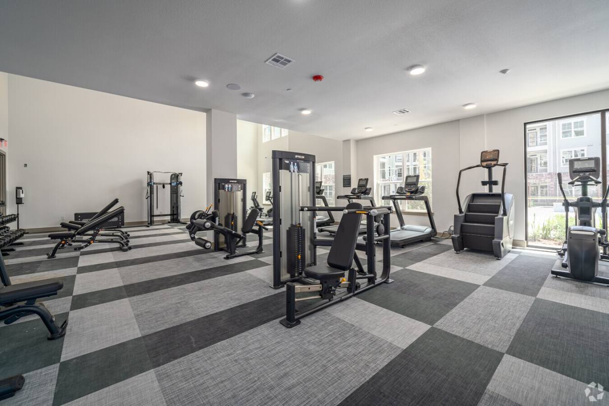 Apartment for rent at 9779 Fannin Rail #CFS1, Houston, TX 77045