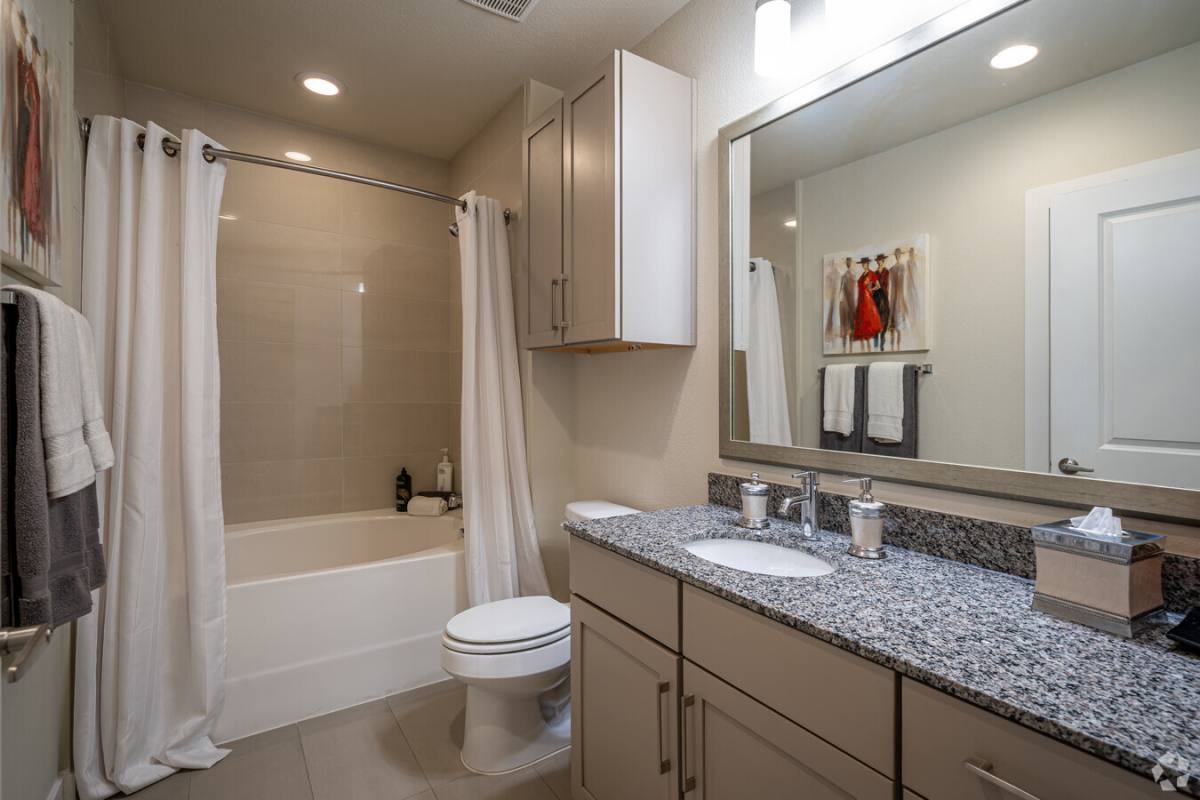 Apartment for rent at 2900 W Dallas St #29WD3, Houston, TX 77019