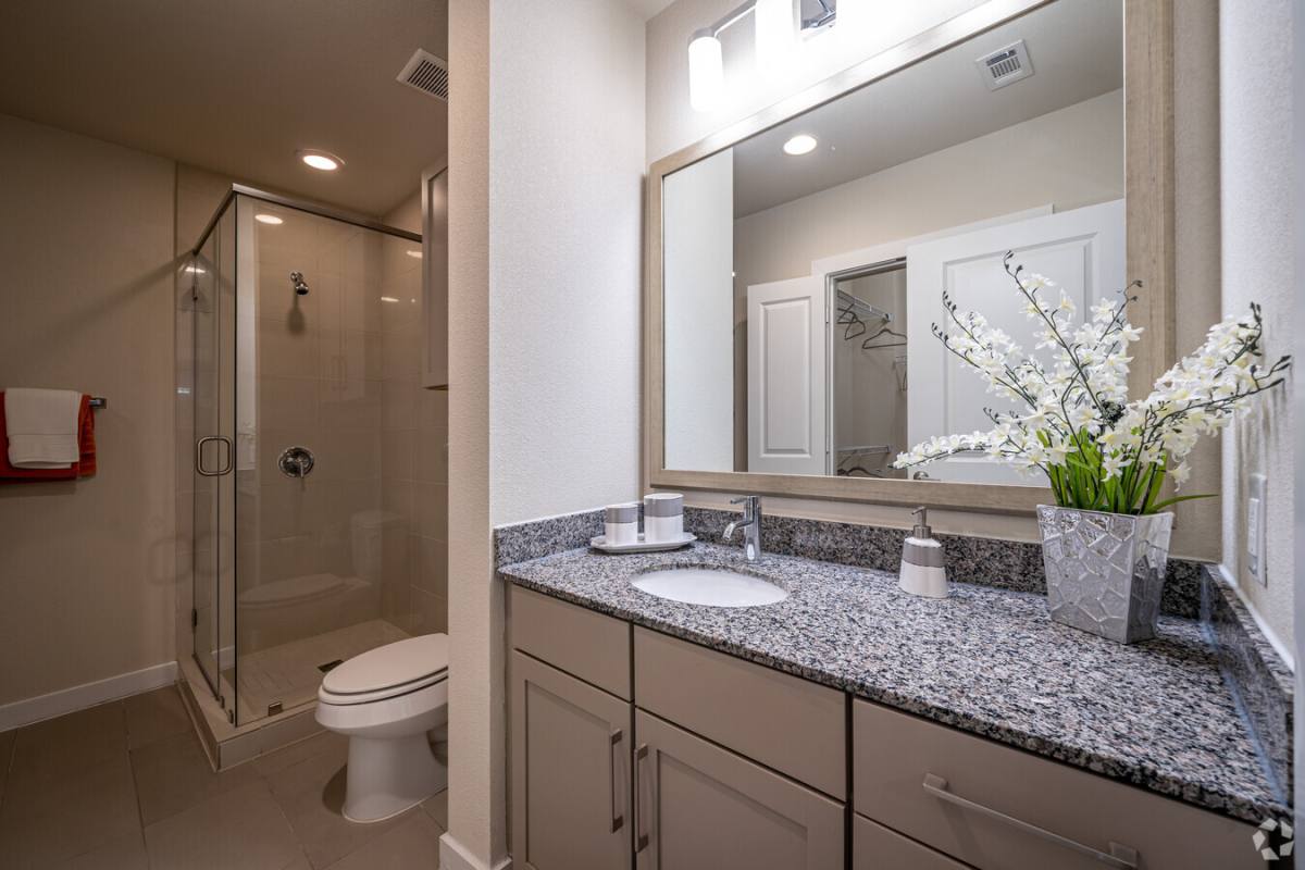 Apartment for rent at 2900 W Dallas St #29WD3, Houston, TX 77019