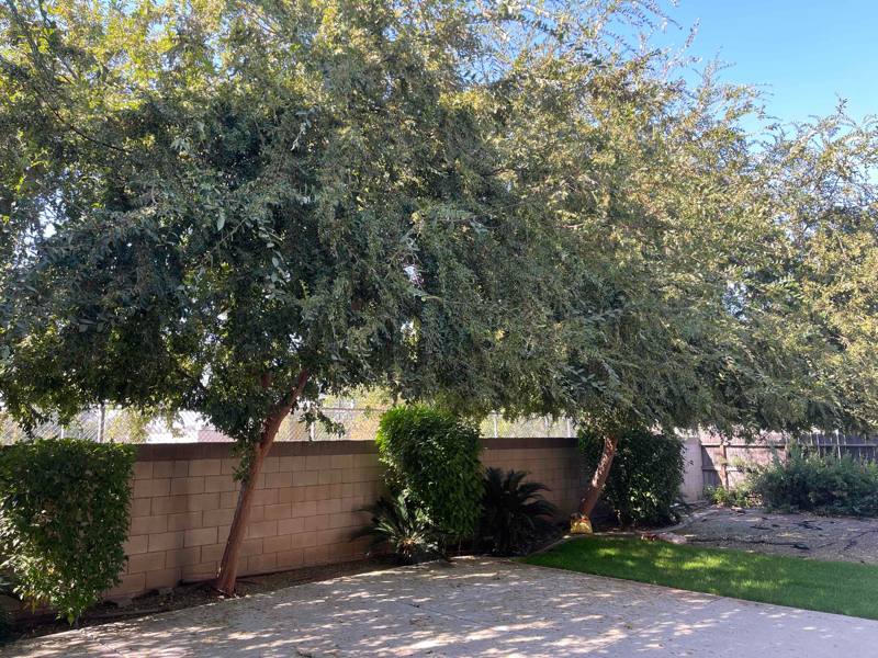 House for rent at 1344 S Bailey Ave, Fresno, CA 93727