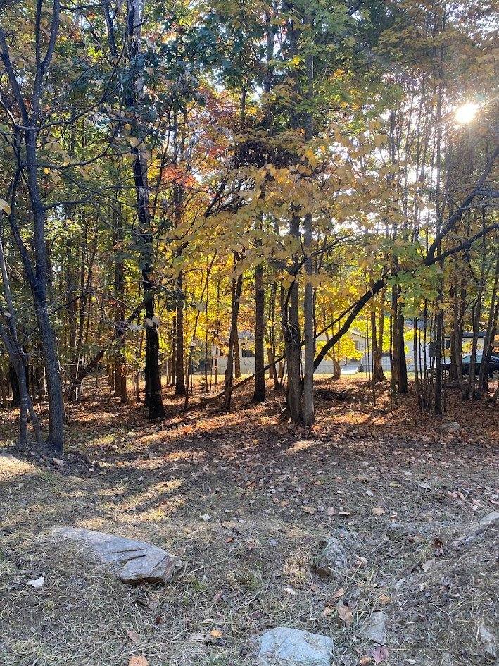 House for rent at 2477 Earley Farm Rd, Amherst, VA 24521