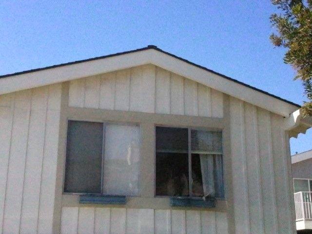Apartment for rent at 33901 Copper Lantern St #1 2, Dana Point, CA 92629