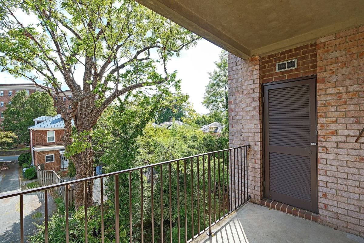 Condo for rent at 511 N 1st St, Charlottesville, VA 22902