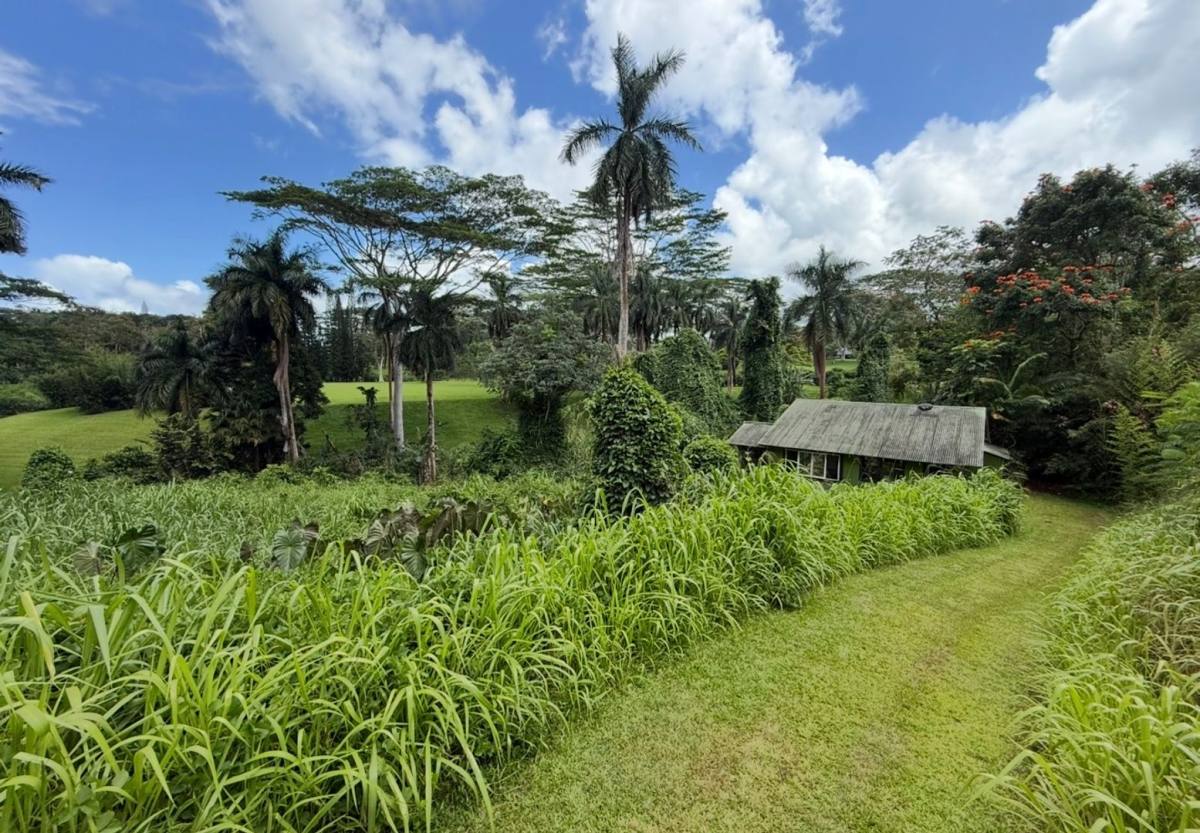 House for rent at 4641-F Kuawa Rd, Kilauea, HI 96754