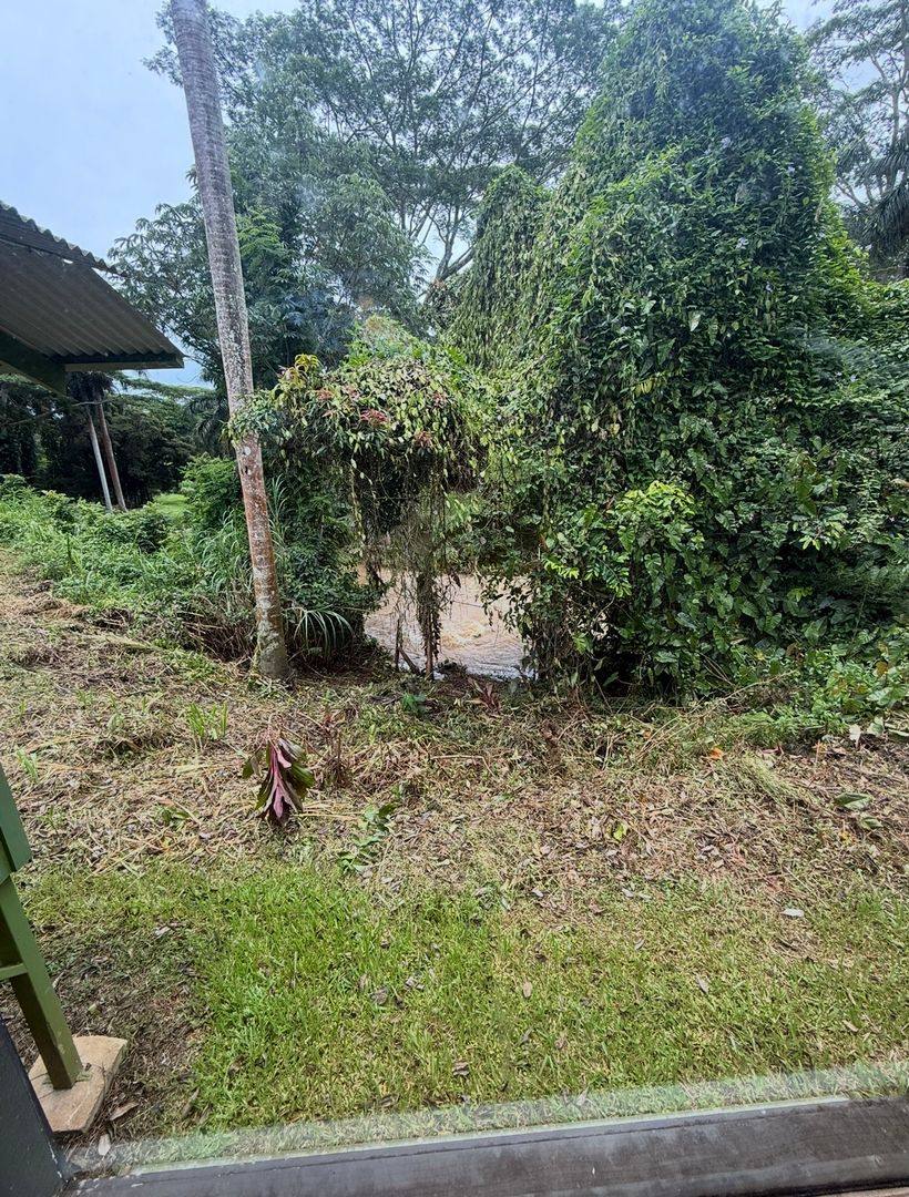 House for rent at 4641-F Kuawa Rd, Kilauea, HI 96754