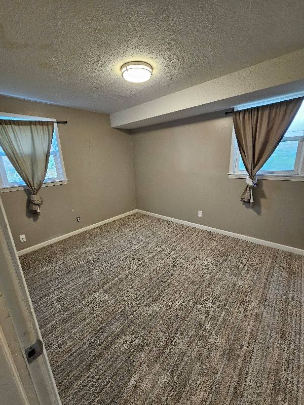 House for rent at 4314 3rd St NE, Minneapolis, MN 55421