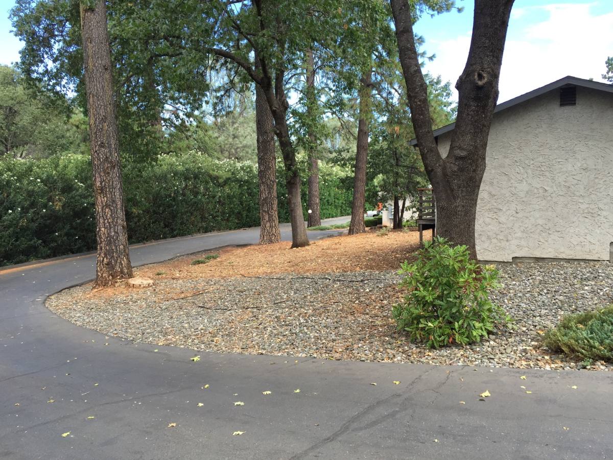 Apartment for rent at 443 Nunneley Rd, Paradise, CA 95969