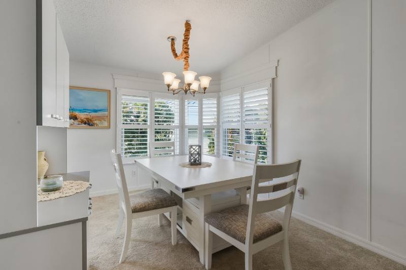 House for rent at 116 Dolphin Dr S, Oldsmar, FL 34677
