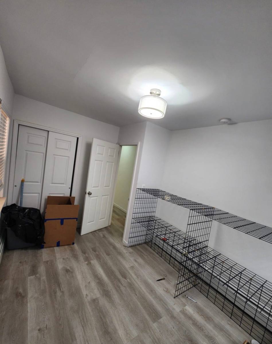 Apartment for rent at 36-33 Francis Lewis Blvd #1, Flushing, NY 11358