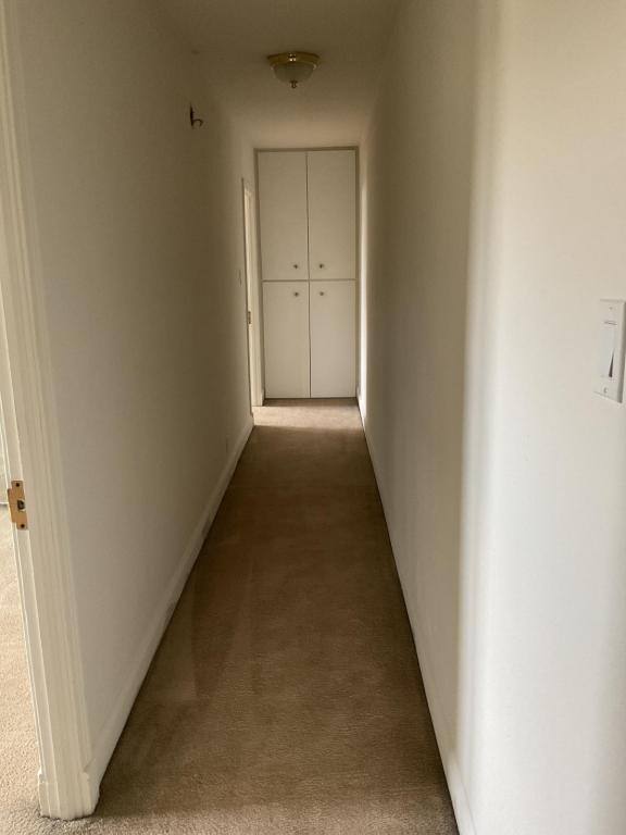 151 E Walnut St #201, Kingston, PA 18704 - House for Rent - Image 5