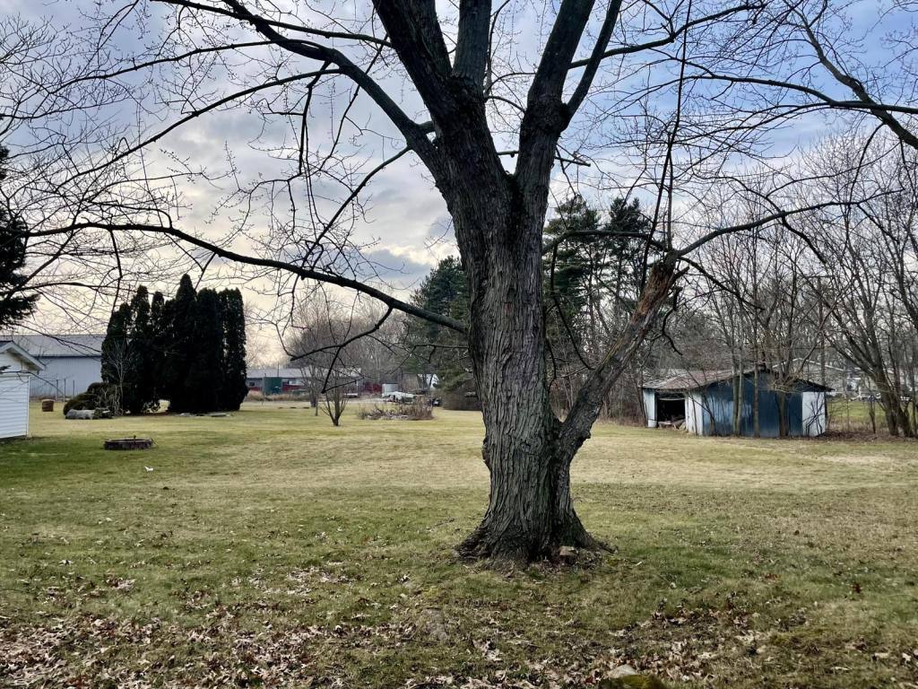 House for rent at 88 Lerue St, Apple Creek, OH 44606