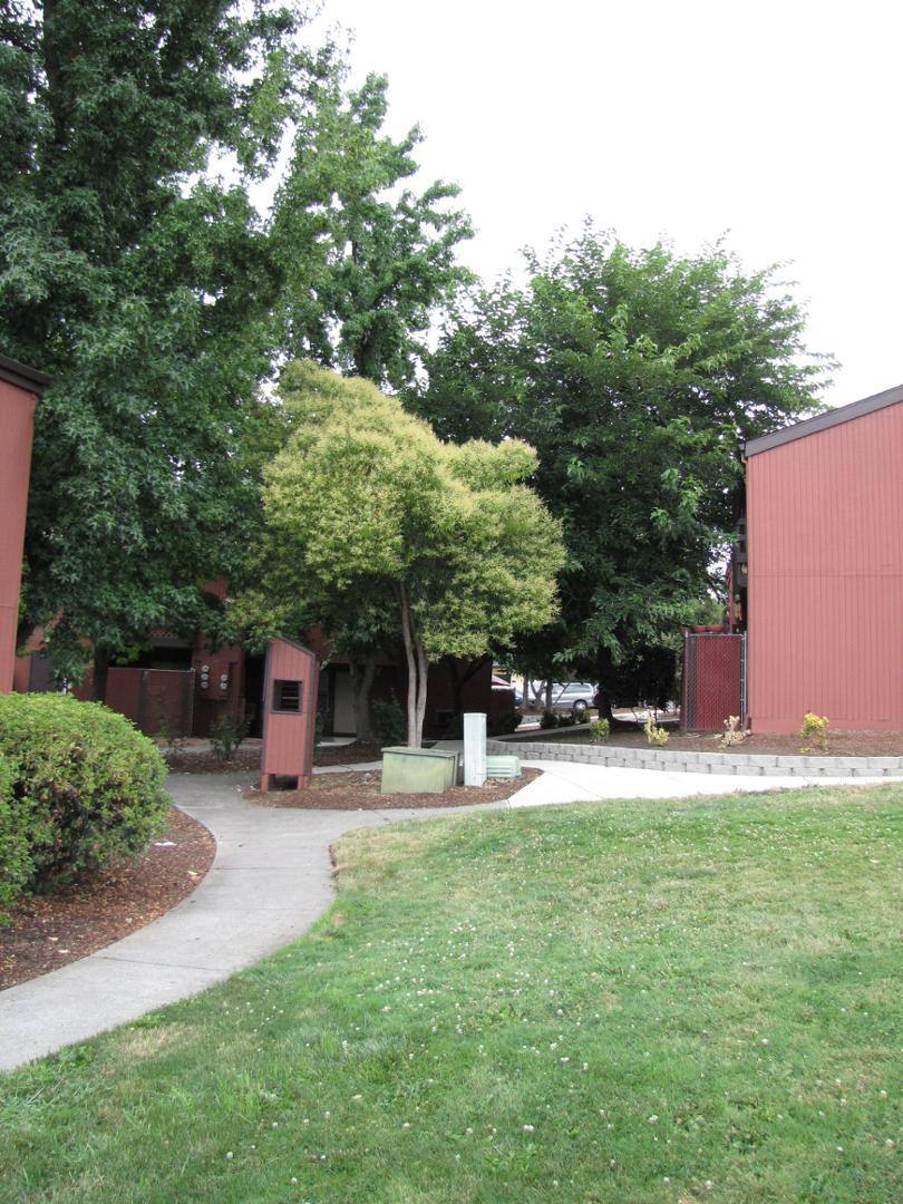 Apartment for rent at Cedar Tree, 2300 E Barnett Rd, Medford, OR 97504