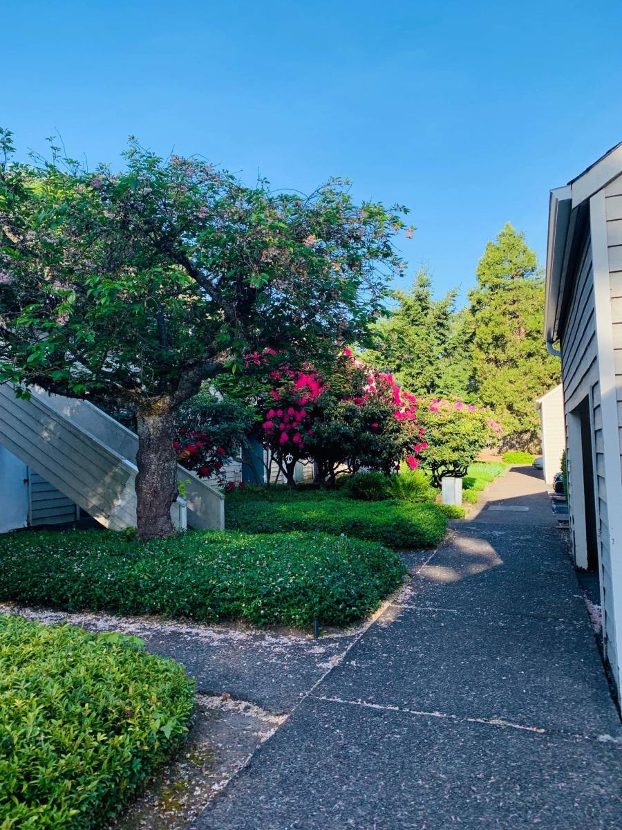 Apartment for rent at River's Edge Towne Homes, 945 Lewis Ave, Eugene, OR 97402