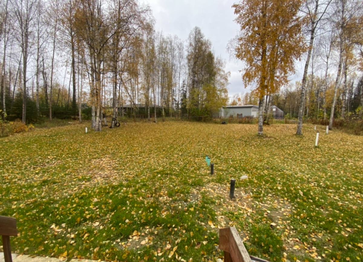 House for rent at 3165 N Alma Dr, Wasilla, AK 99654