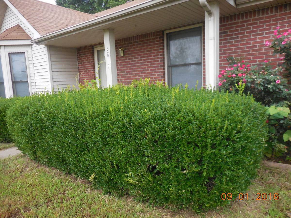 House for rent at 2807 Highway 41 A S, Clarksville, TN 37043