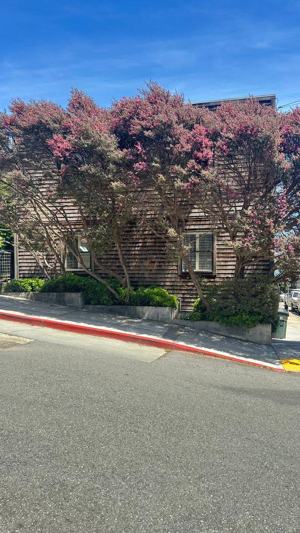 Apartment for rent at 314 Main-202 3rd St, Sausalito, CA 94965