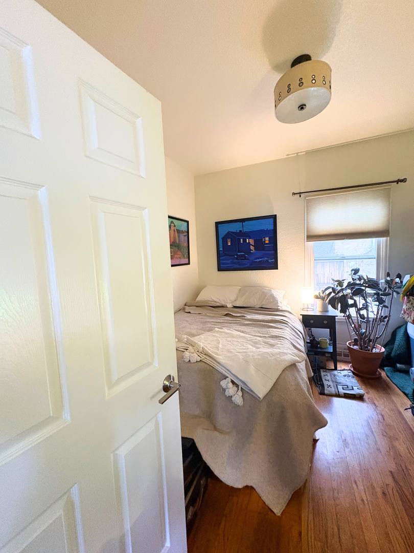 House for rent at 1025 Alta St, Longmont, CO 80504