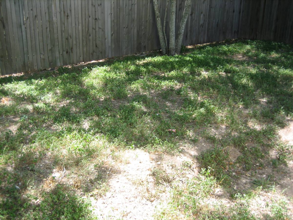 Apartment for rent at 1806 Perez St, Austin, TX 78721