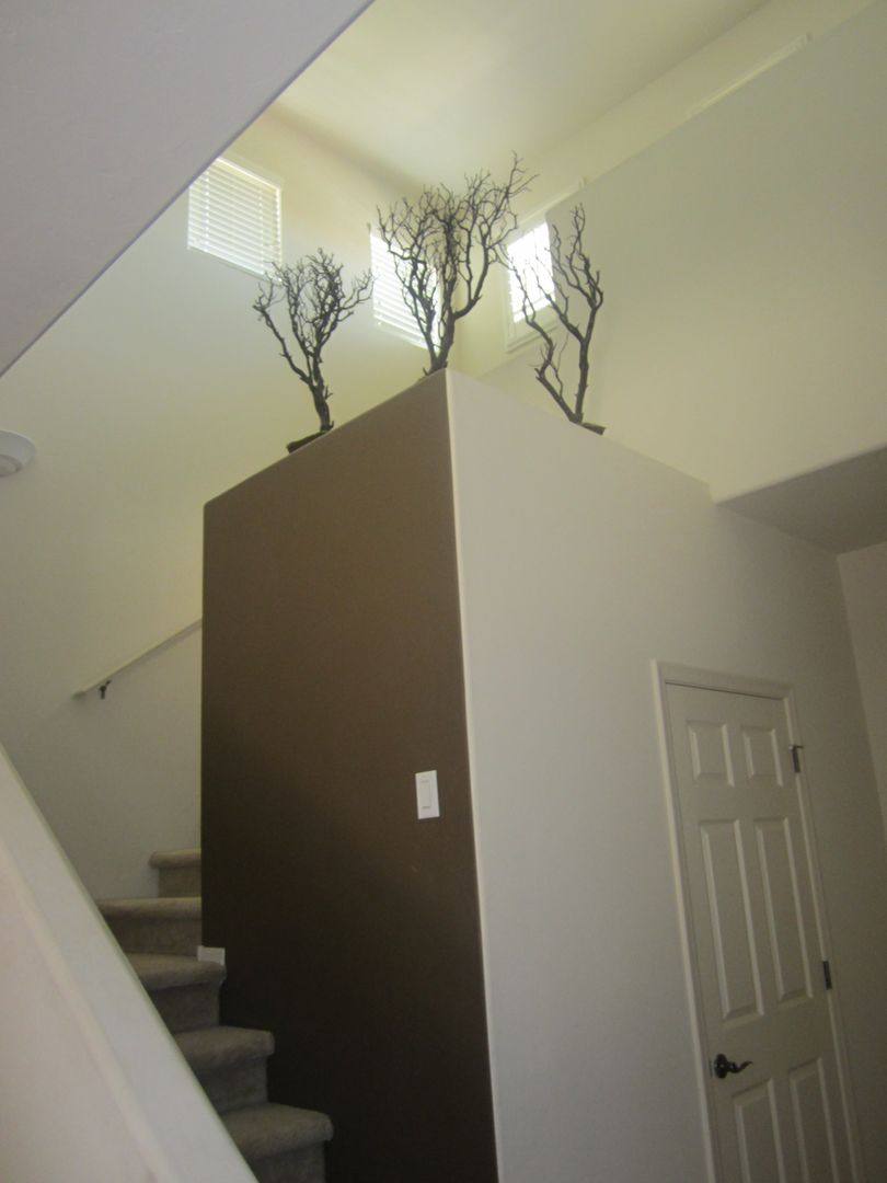 House for rent at 1631 W Blue Horizon St, Tucson, AZ 85704