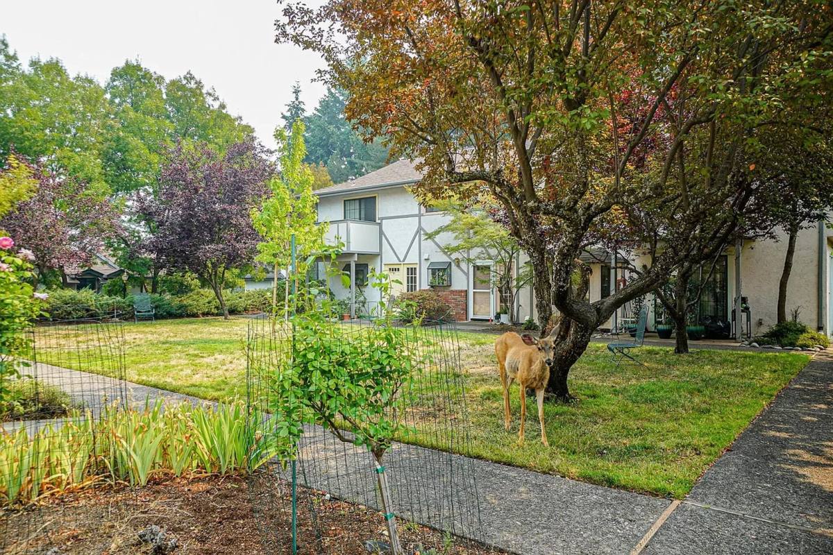 Townhouse for rent at 495 Chestnut St, Ashland, OR 97520