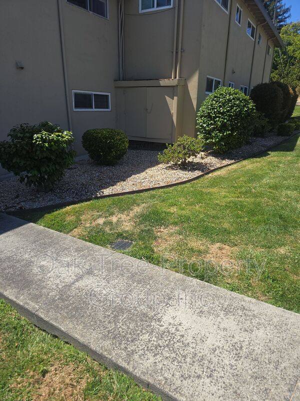 Apartment for rent at 1200 D St #12, Petaluma, CA 94952