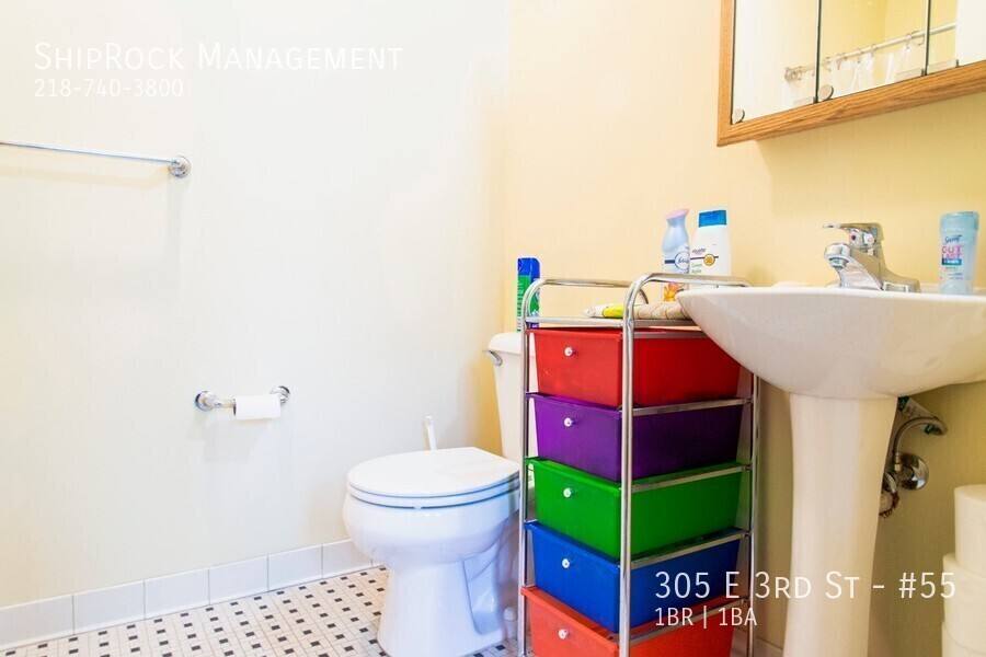 Apartment for rent at 305 E 3rd St #55, Duluth, MN 55805
