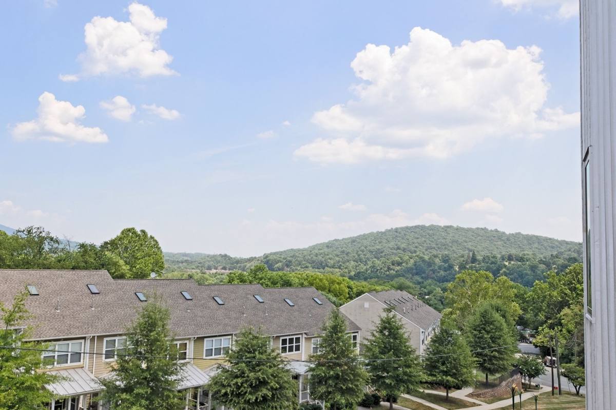 Apartment for rent at 1050 Druid Ave, Charlottesville, VA 22902