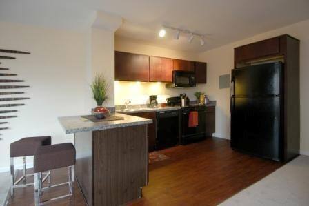 Apartment for rent at 6900 S Shore Dr, Chicago, IL 60649