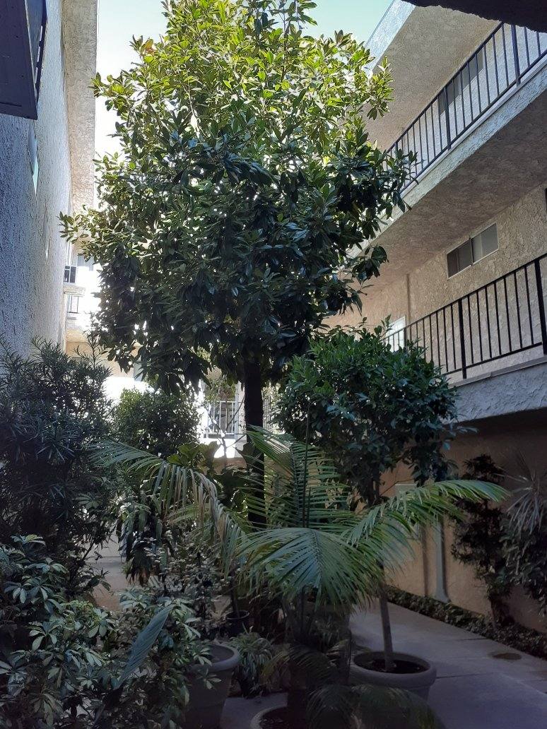 Apartment for rent at 15340 Vanowen St, Van Nuys, CA 91406