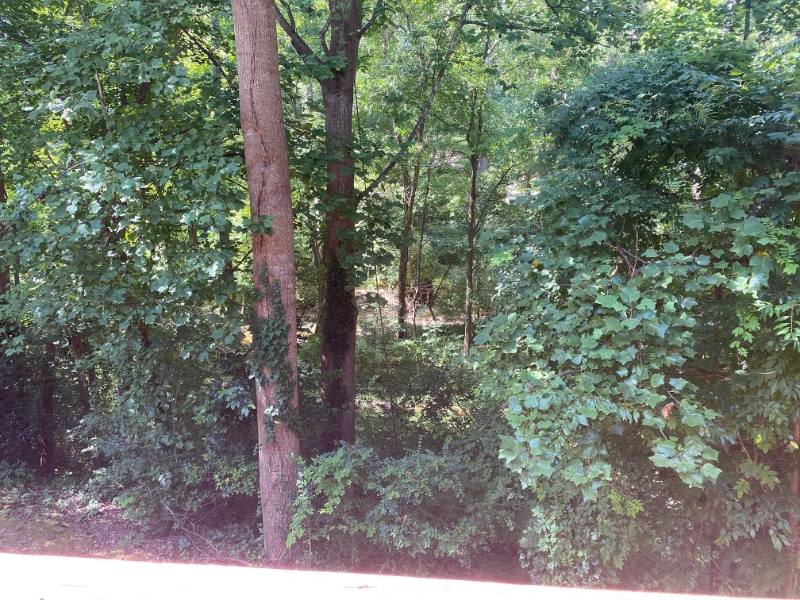 Townhouse for rent at 1927 Trexler Court, Raleigh, NC 27606