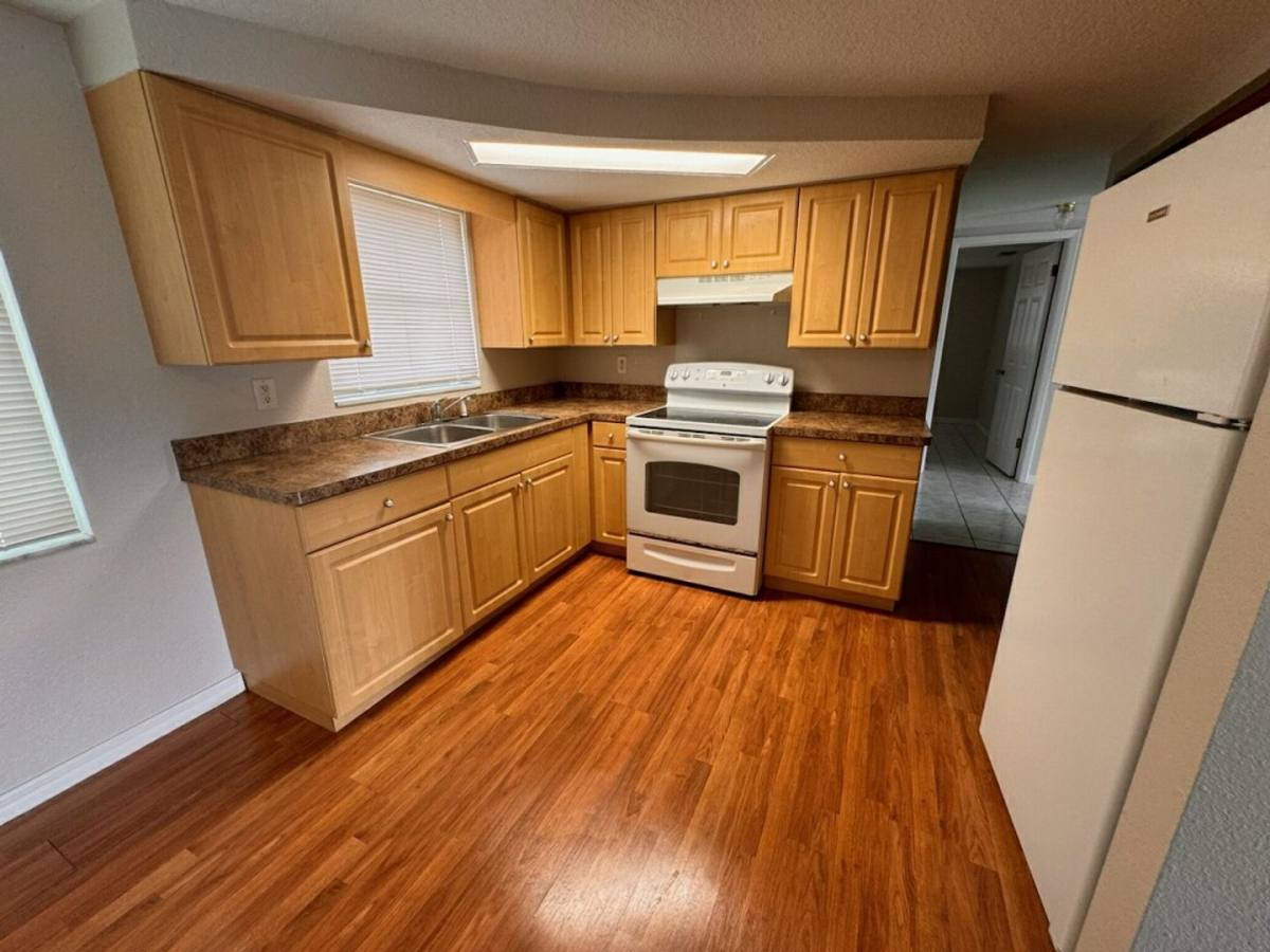 House for rent at 10731 Premier Ave, Port Richey, FL 34668