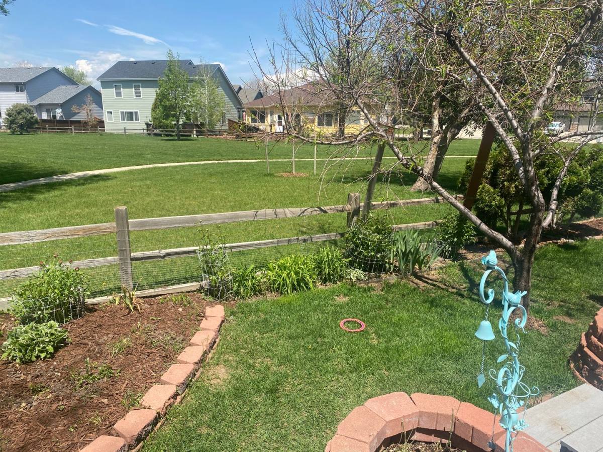 House for rent at 1766 Preston Dr, Longmont, CO 80504