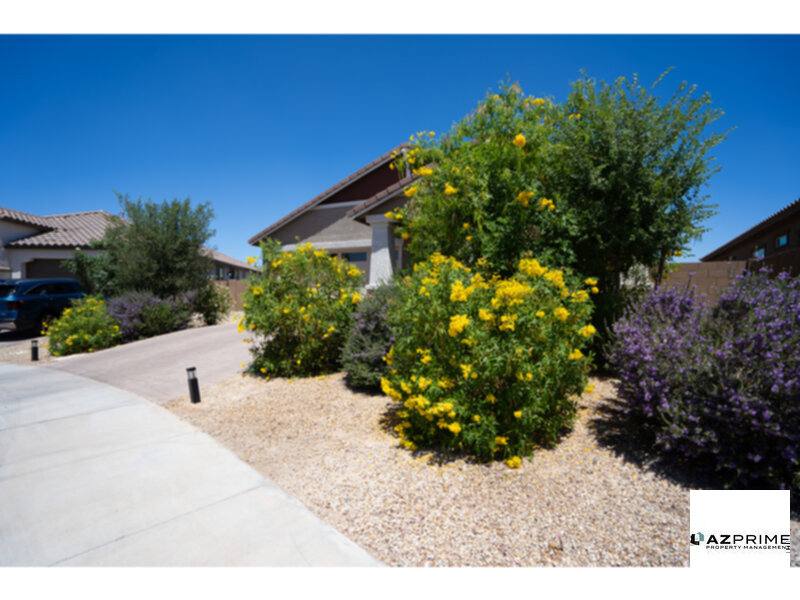 House for rent at 4607 S 111th Dr, Tolleson, AZ 85353