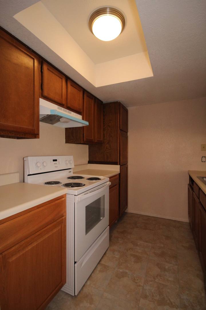 House for rent at 14520 Clovelly Wood, San Antonio, TX 78233