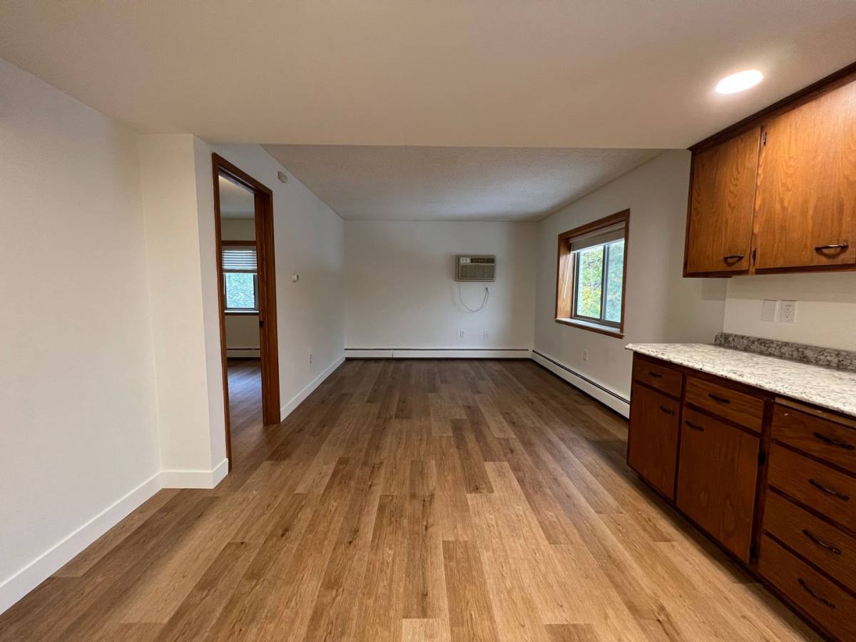 Apartment for rent at 307 3rd Ave NW, Rochester, MN 55901