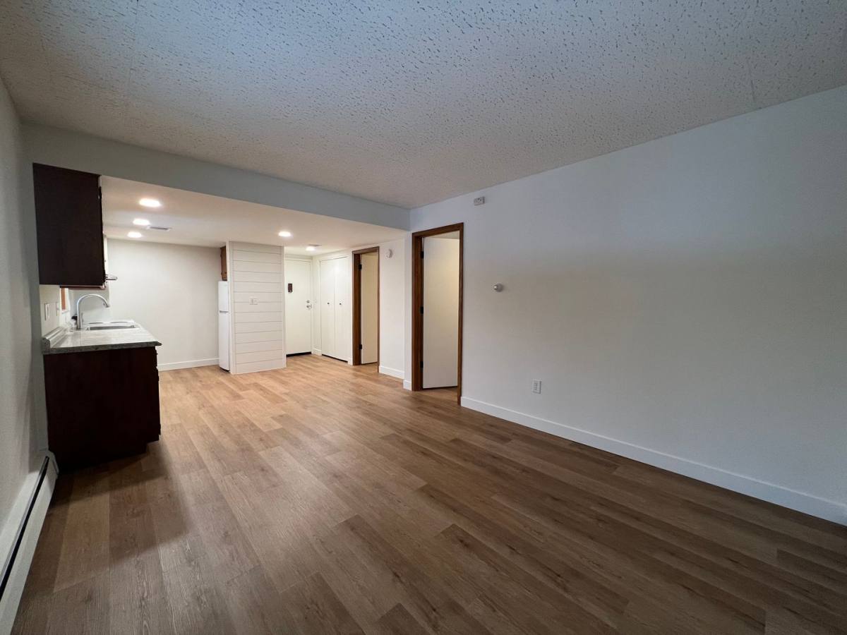 Apartment for rent at 307 3rd Ave NW, Rochester, MN 55901