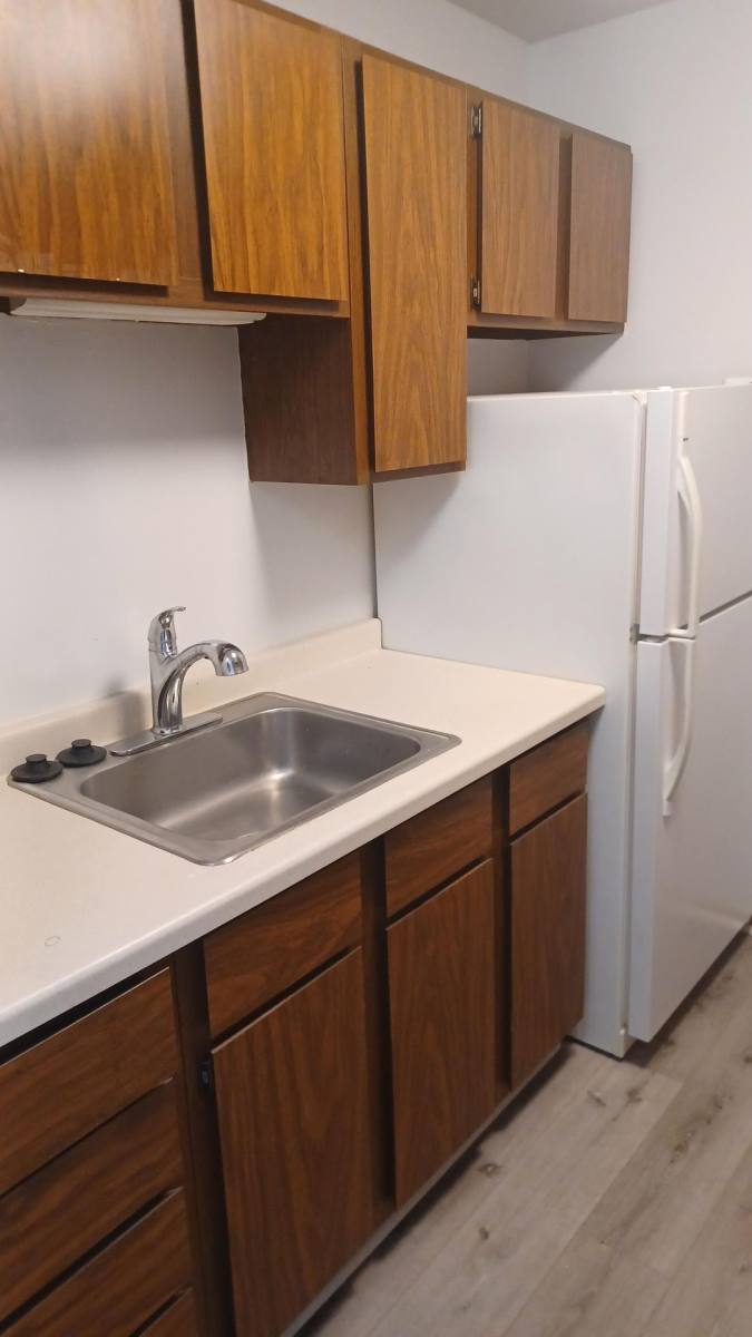 Apartment for rent at 203 S Oak St, Lake Mills, WI 53551