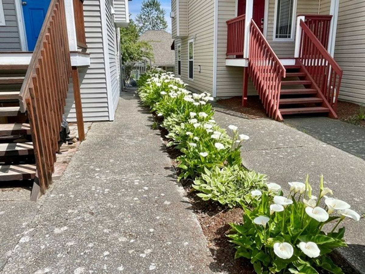 Apartment for rent at 5912 Shaffer Ave S, Seattle, WA 98108