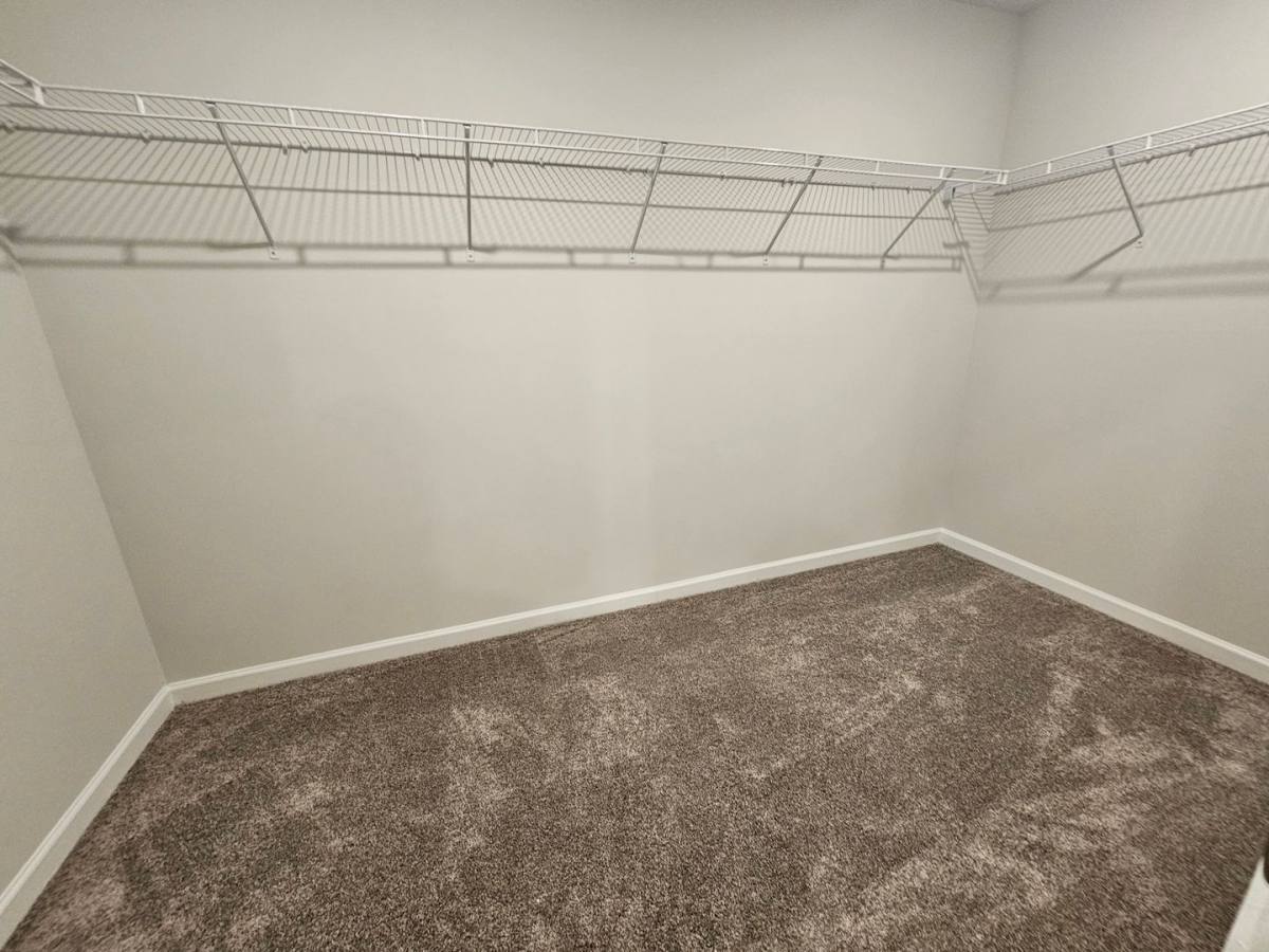 House for rent at 2109 Strawberry Patch St, Charlotte, NC 28208