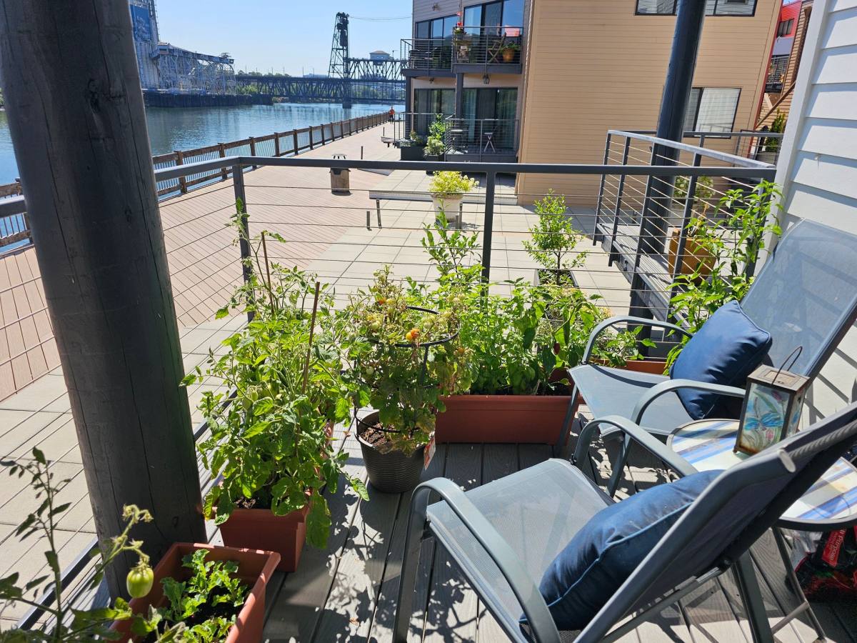 Apartment for rent at 1020 NW Naito Park Way, Portland, OR 97209