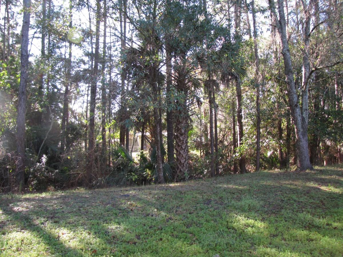 House for rent at 67 Parkway Dr, Palm Coast, FL 32164