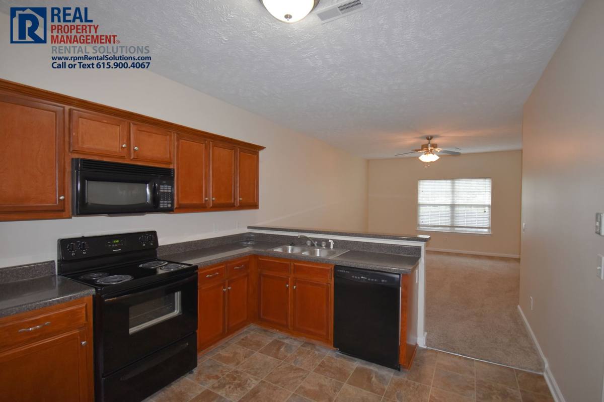 House for rent at 2533 New Holland Circle, Murfreesboro, TN 37128