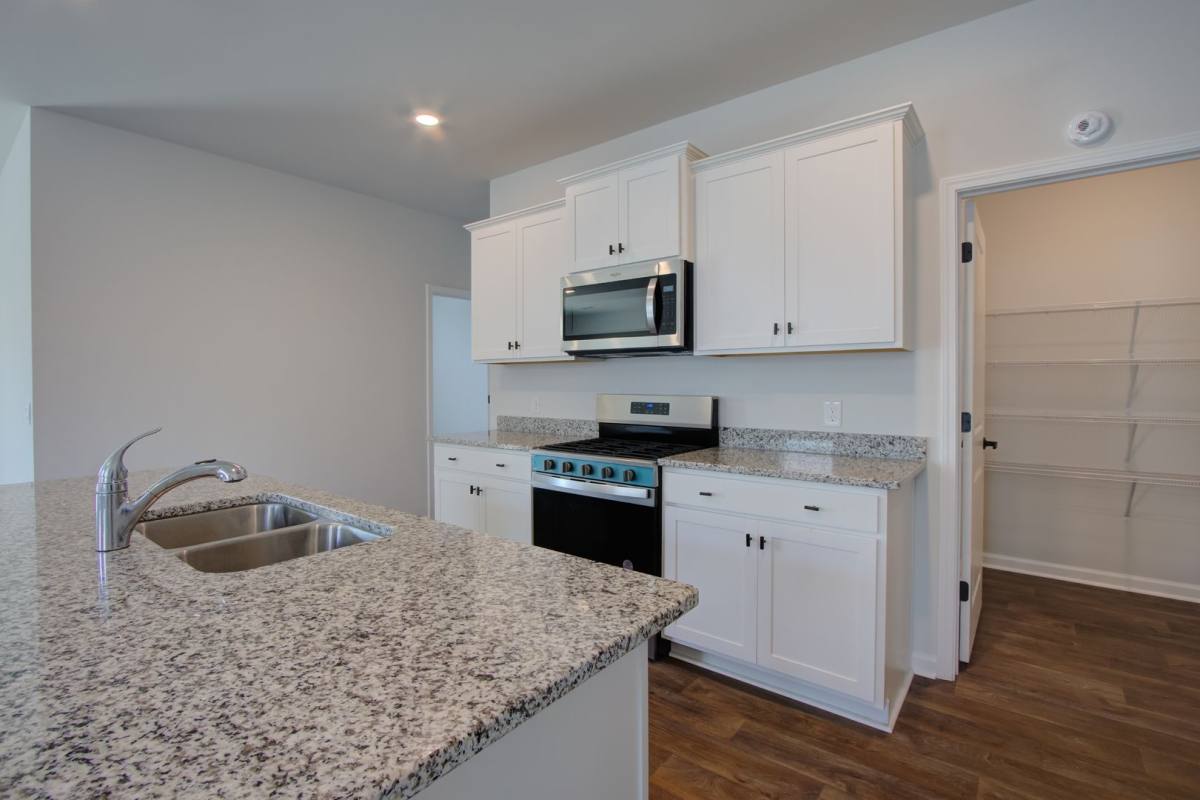 House for rent at 729 Long Bluff, Summerville, SC 29486