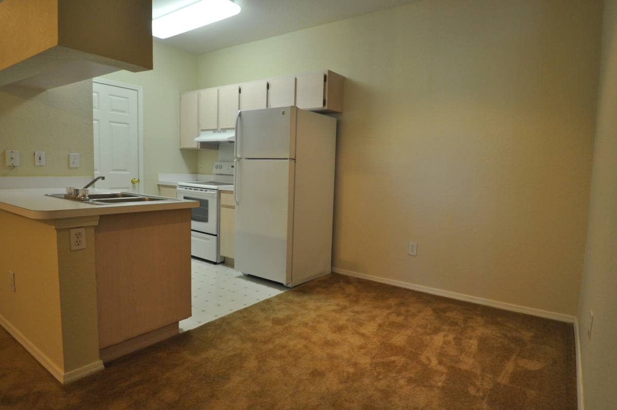 Apartment for rent at 13245 Sanctuary Cove Dr, Tampa, FL 33637