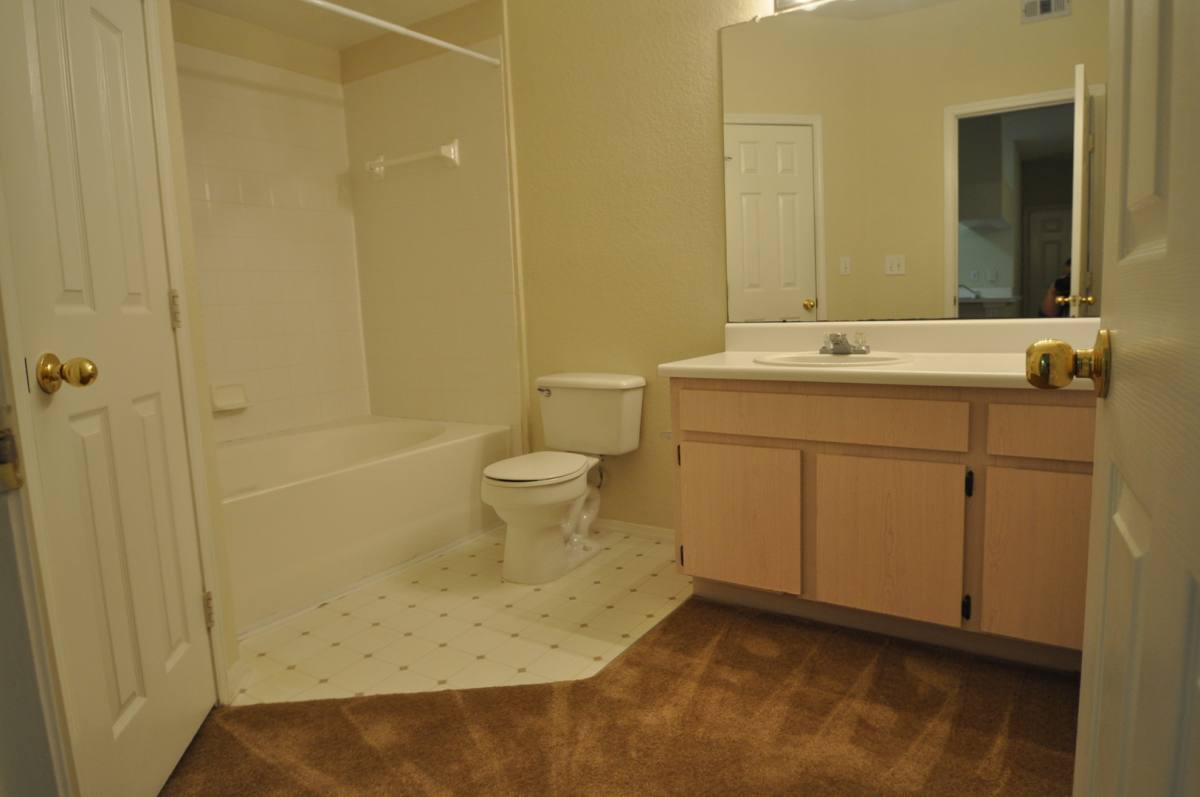 Apartment for rent at 13245 Sanctuary Cove Dr, Tampa, FL 33637