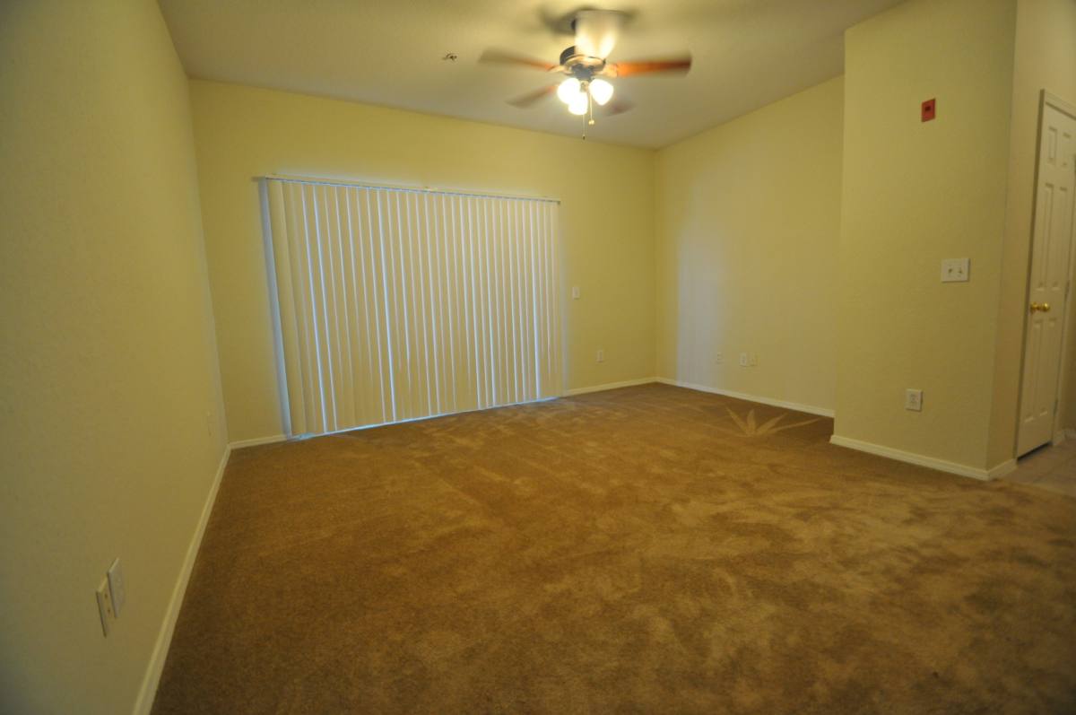 Apartment for rent at 13245 Sanctuary Cove Dr, Tampa, FL 33637