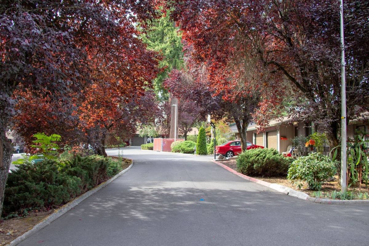 Apartment for rent at 10217-10223 NE 13th Ave, Vancouver, WA 98686